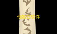 他她它软件