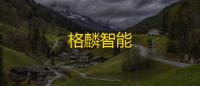格麟智能